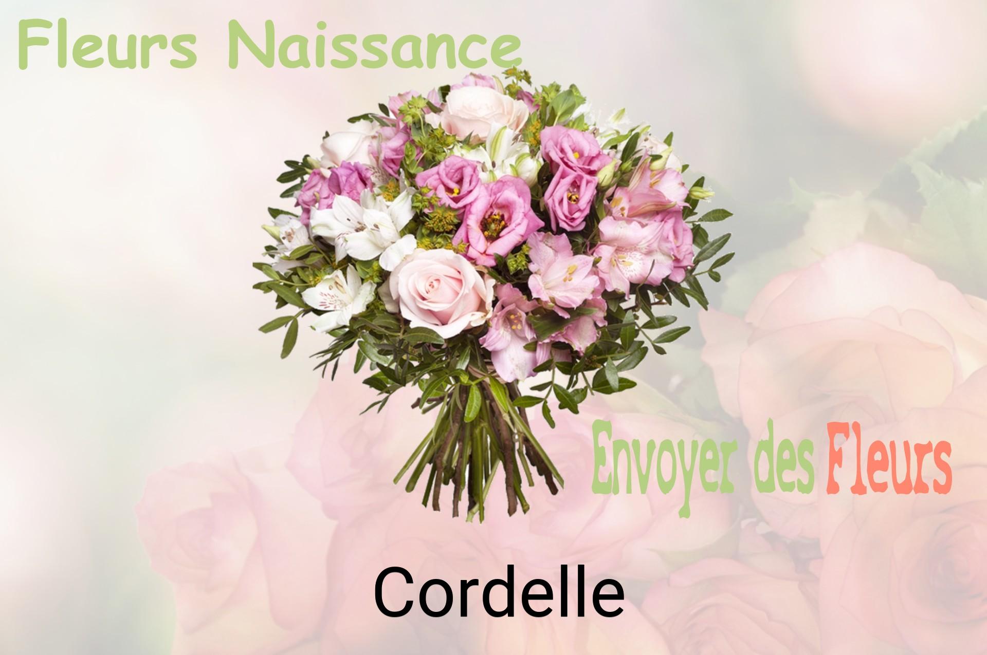 Bouquet de fleurs de naissance livré à Cordelle